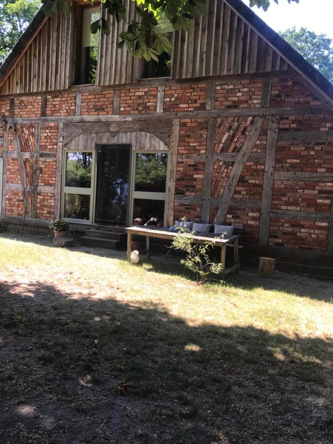 Gemuetliche Ferienwohnung An Der Elbe Bleckede Eksteriør bilde