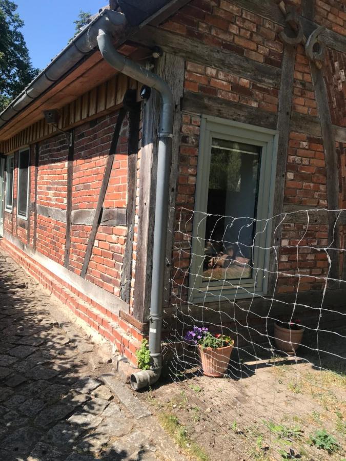 Gemuetliche Ferienwohnung An Der Elbe Bleckede Eksteriør bilde