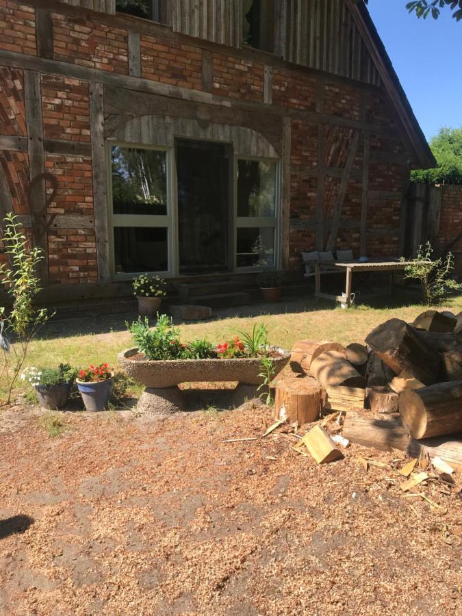 Gemuetliche Ferienwohnung An Der Elbe Bleckede Eksteriør bilde