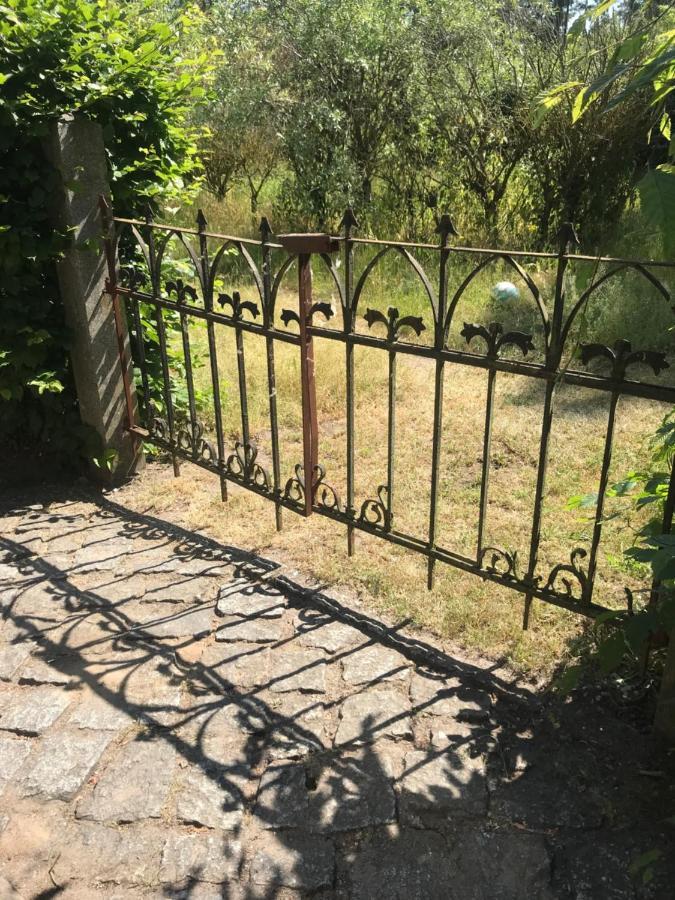 Gemuetliche Ferienwohnung An Der Elbe Bleckede Eksteriør bilde
