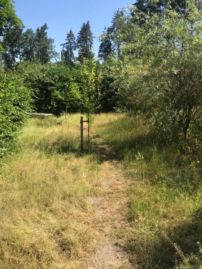 Gemuetliche Ferienwohnung An Der Elbe Bleckede Eksteriør bilde